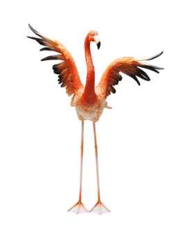 Деко фигура Flamingo Road Fly 66cm