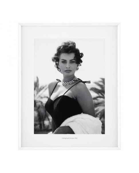 Картина Staring Sophia Loren