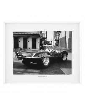 Картина Steve McQueen, 1963