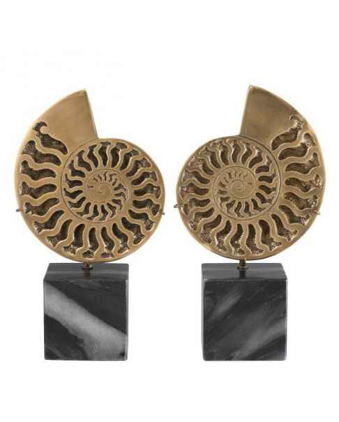 Деко объект Ammonite set of 2