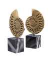 Деко объект Ammonite set of 2