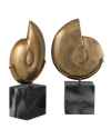Деко объект Ammonite set of 2