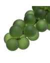 Деко объект French Grapes