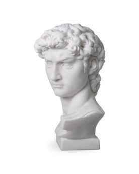 Голова David