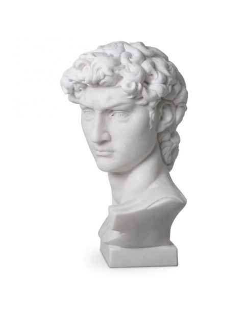 Голова David