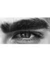 Картина Philippe Vogelenzang - The Gaze
