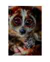 Картина на стекле Slow Loris 80x120cm
