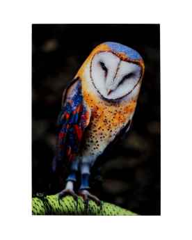 Картина на стекле Cute Owl 120x80cm