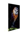Картина на стекле Cute Owl 120x80cm