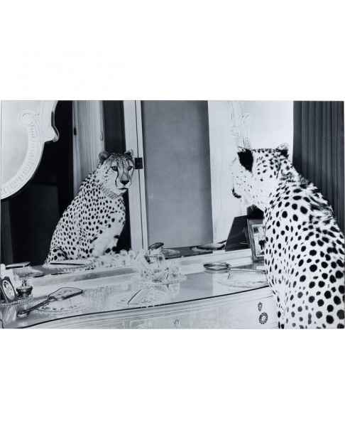 Картина на стекле Metallic Gepard 100x150cm