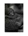 Статуэтка Cuddle Gorilla Family