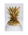 Кувшин Pineapple Visible