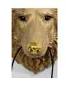 Бра Wolf Head
