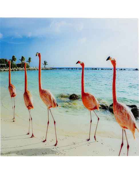 Картина на стекле Flamingo Walk 80x80
