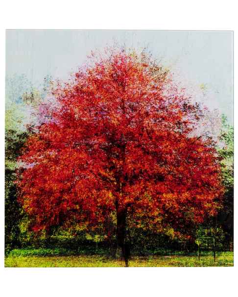 Картина на стекле Red Tree 80x80