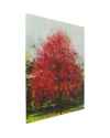 Картина на стекле Red Tree 80x80