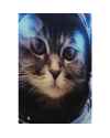 Картина на стекле Cat in Space 80x60