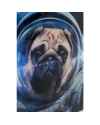 Картина на стекле Dog in Space 80x60