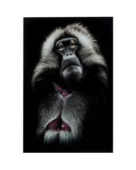 Картина на стекле Grandfather Baboon 120x80