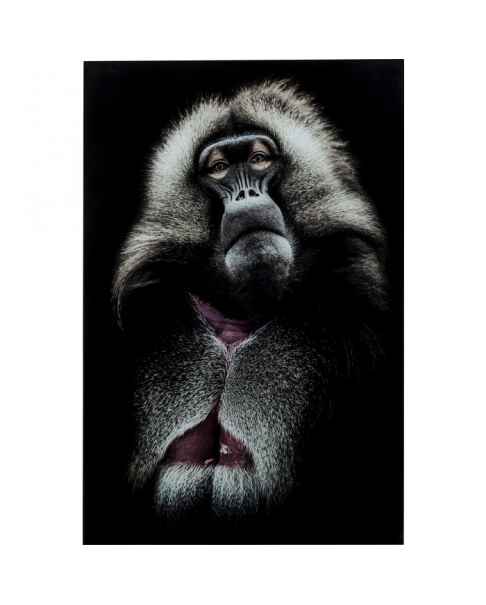 Картина на стекле Grandfather Baboon 120x80