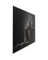 Картина на стекле Body Aesthetics Lady 120x80