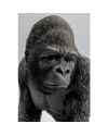 Книгодержатель Gorilla (2/Set)