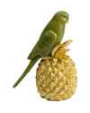 Статуэтка Ananas Parrot