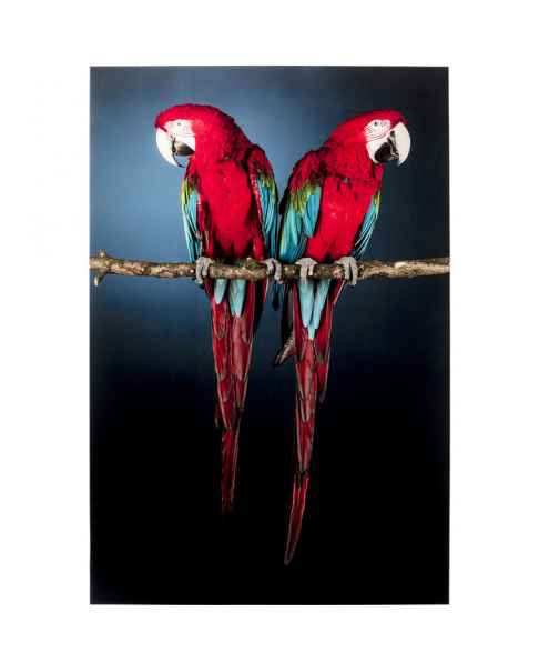Картина на стекле Twin Parrot 80x120