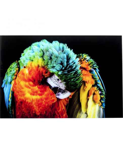 Картина на стекле Tropical Parrot 120x80