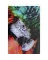 Картина на стекле Tropical Parrot 120x80