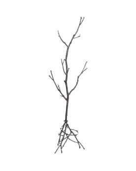Вешалка для одежды Tree Branch 183cm