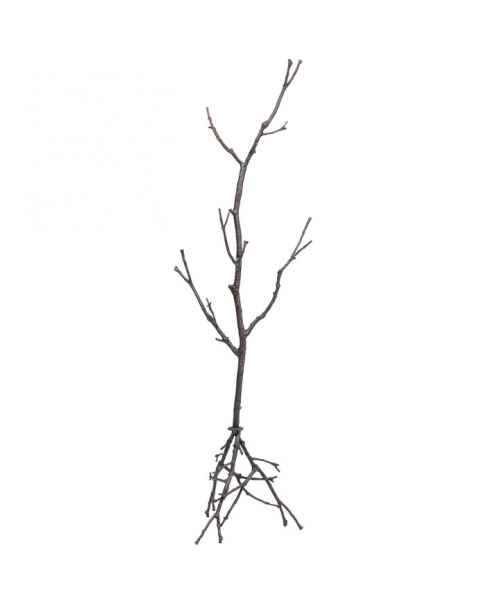 Вешалка для одежды Tree Branch 183cm