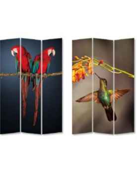 Ширма Twin Parrot vs Cute Colibri 120x180cm