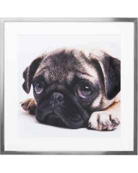 Картина в раме Mops 65x65cm