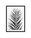Картина Palm Leaves set of 2