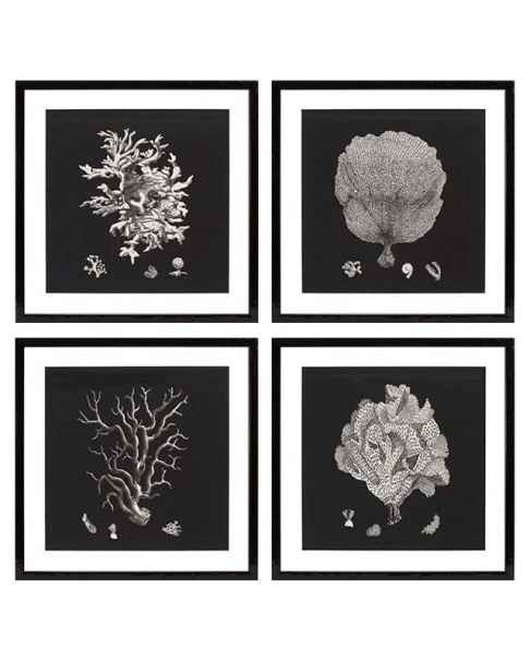 Картина Black & White Collection II set of 4