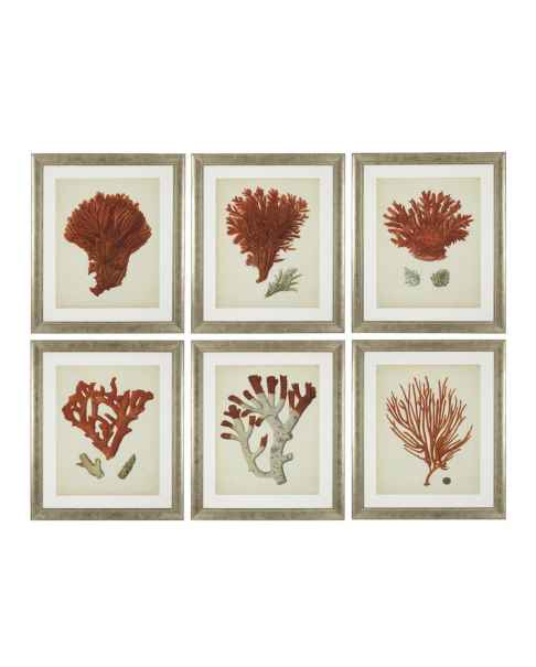 Картина Antique red corals set of 6