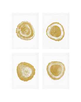 Картина Tree Rings set of 4