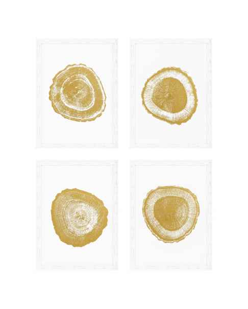 Картина Tree Rings set of 4