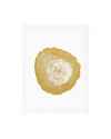 Картина Tree Rings set of 4