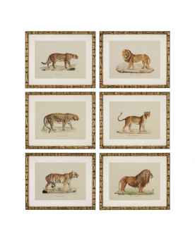 Картина Lion, Tigre, Jaguar set of 6