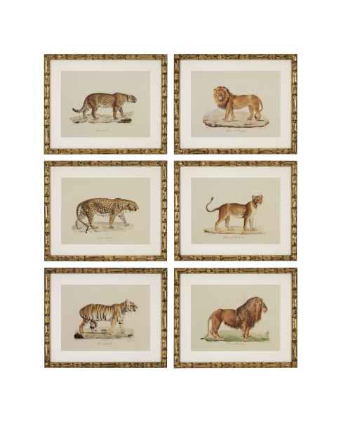 Картина Lion, Tigre, Jaguar set of 6