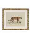 Картина Lion, Tigre, Jaguar set of 6