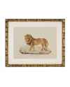 Картина Lion, Tigre, Jaguar set of 6