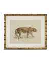 Картина Lion, Tigre, Jaguar set of 6