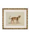 Картина Lion, Tigre, Jaguar set of 6