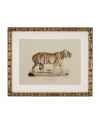 Картина Lion, Tigre, Jaguar set of 6