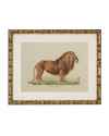 Картина Lion, Tigre, Jaguar set of 6