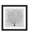 Картина Shadow Sea Fans set of 4