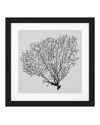 Картина Shadow Sea Fans set of 4